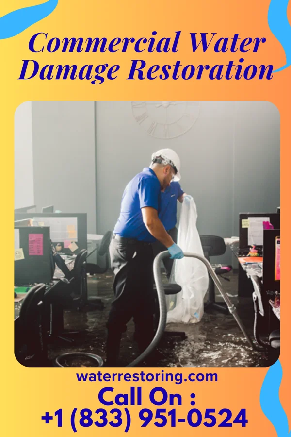 Commercial Water Damage Restoration in Bridgeport, PA