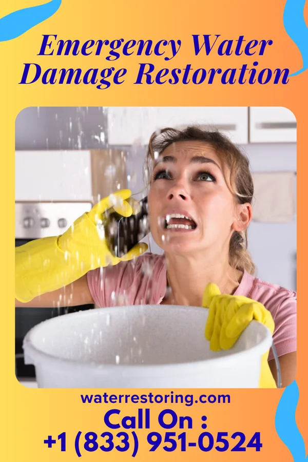Emergency Water Damage Restoration in Bridgeport, PA