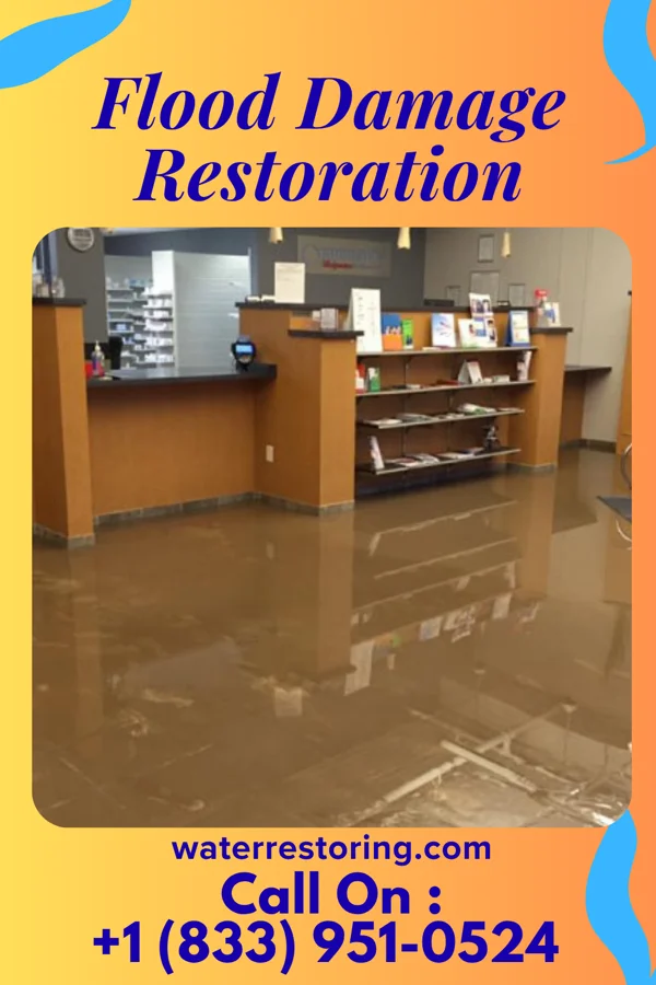 Flood Damage Restoration in Bridgeport, PA