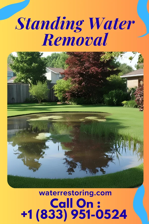 Standing Water Removal in Bridgeport, PA